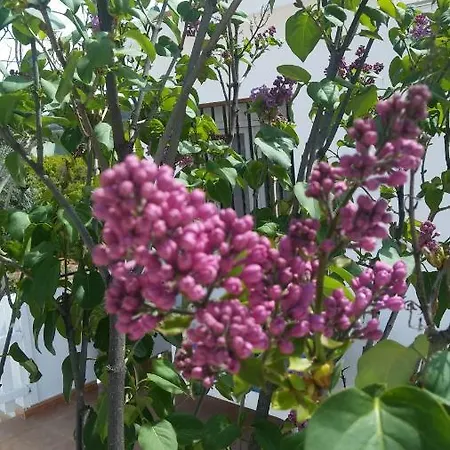 Εξοχικό σπίτι La Maison D'eve Σαγούντο