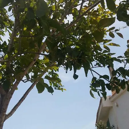 La Maison D'eve *